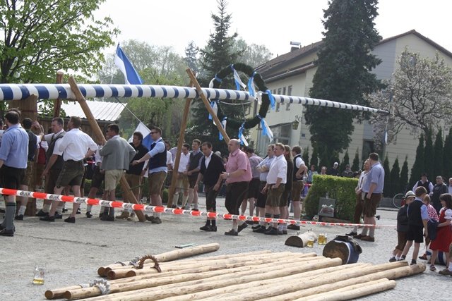 Maibaum 2013